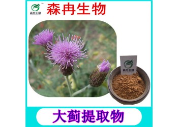 森冉生物大薊提取物大刺兒菜提取物現(xiàn)貨熱銷