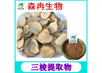 森冉生物三棱提取物紅蒲根提取物現(xiàn)貨熱銷
