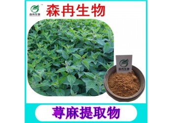 森冉生物蕁麻提取物蜇人草提取物現(xiàn)貨熱銷