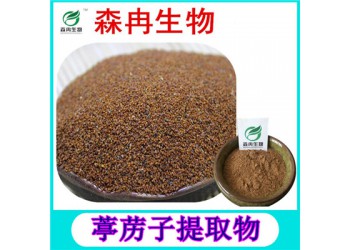 森冉生物葶藶子提取物丁歷提取物現(xiàn)貨熱銷