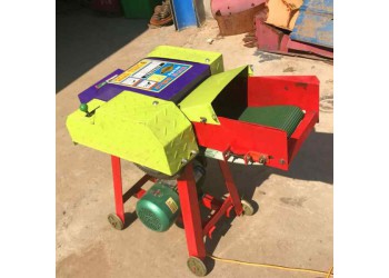 農(nóng)用農(nóng)作物秸稈粉碎機(jī) 干濕兩用鍘草機(jī) 全自動(dòng)輸送帶鍘草機(jī)