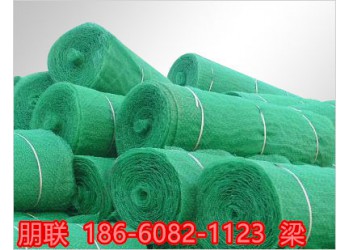 南京三維植被網工廠現(xiàn)發(fā)現(xiàn)售