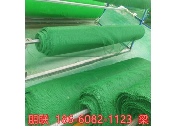 揚州三維植被網廠家直接發(fā)貨