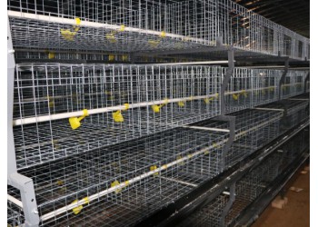 肉雞籠雞籠鴨籠自動化養(yǎng)雞設(shè)備山東金石農(nóng)牧機(jī)械