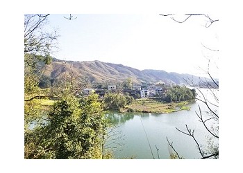 茶園加盟，茶山加盟，轉運珍茶