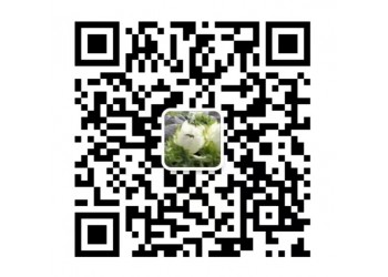 散戶投資《***外傳之楚幽王陵》渠道？網絡電影收益分配？