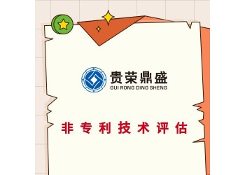 成都市知識產(chǎn)權證券化知識產(chǎn)權質(zhì)押評估
