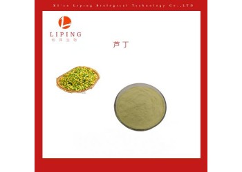 供應槐花提取物 槐花提取物蘆丁95%