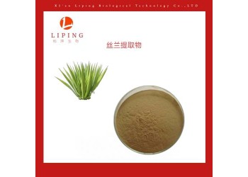 絲蘭提取物絲蘭皂苷/絲蘭皂甙30% 60% 80%提取物供應