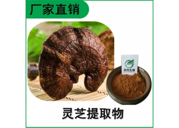 森冉生物 靈芝提取物 靈芝多糖 赤芝提取物 多種規格原料粉